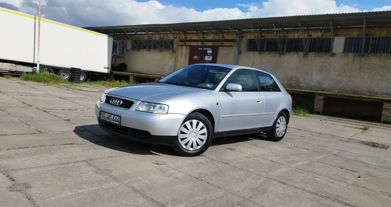 Audi A3 cena 4900 przebieg: 257408, rok produkcji 2000 z Miłakowo małe 704